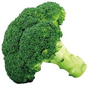 Broccoli