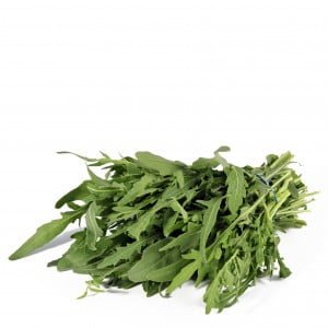 Rucola