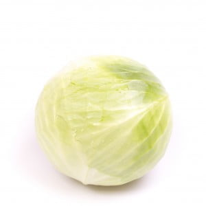 White Cabbage