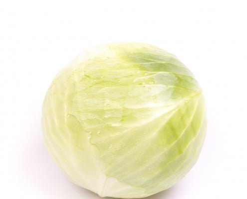 White Cabbage