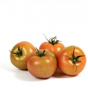 tomaten los