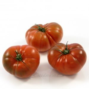 Marmande tomaten