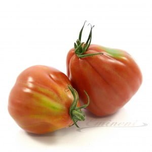 Tomaten coeur du boeuf